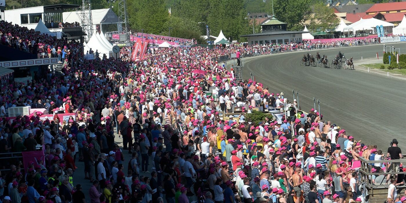 Things you (might) not know about Elitloppet