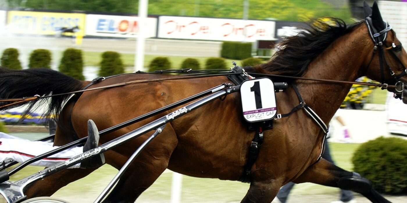 2008 EXPLOIT CAF