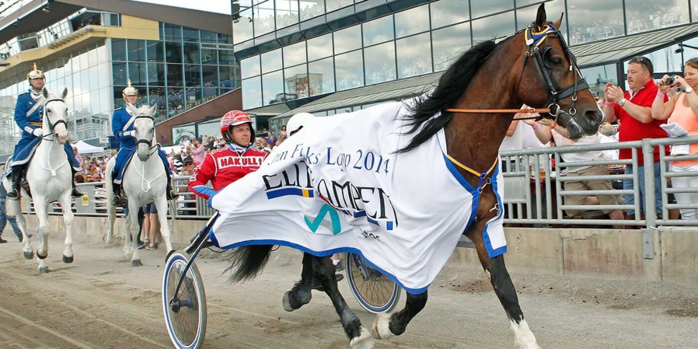 2014 Neslands Loke