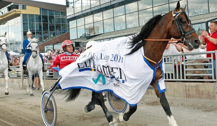 2014 Neslands Loke