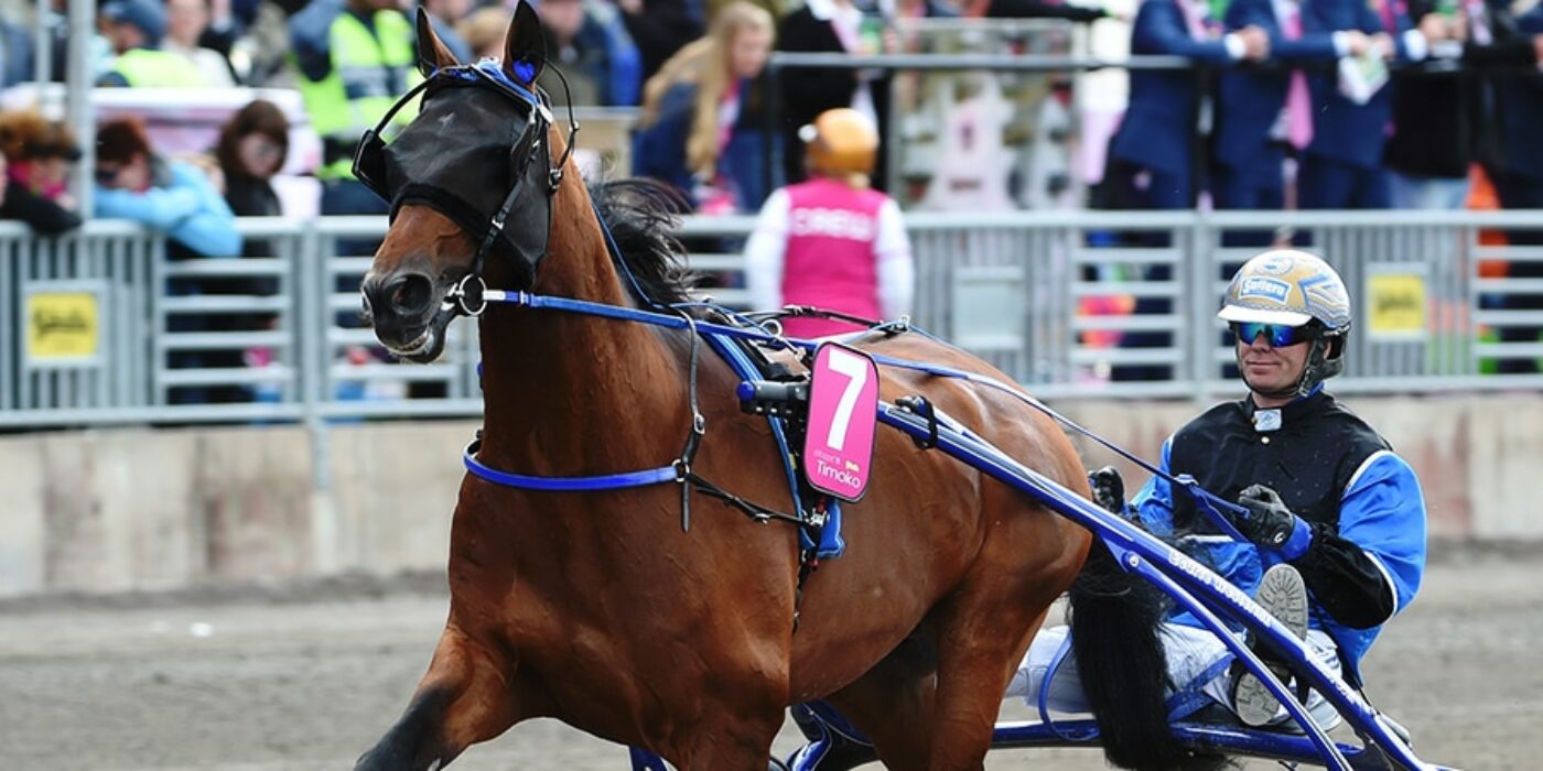 2014 TIMOKO