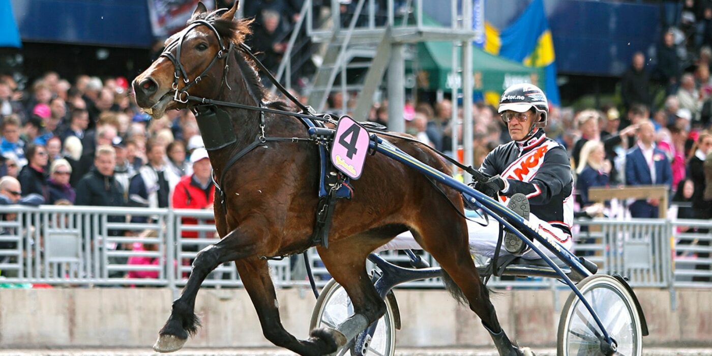 2015 Lannem Silje