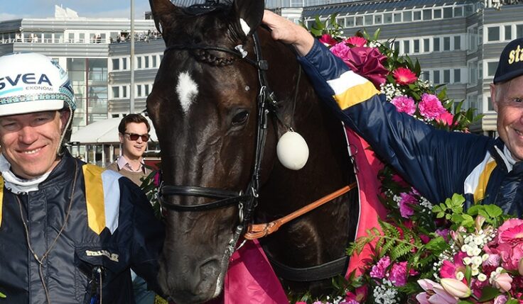 2016 NUNCIO