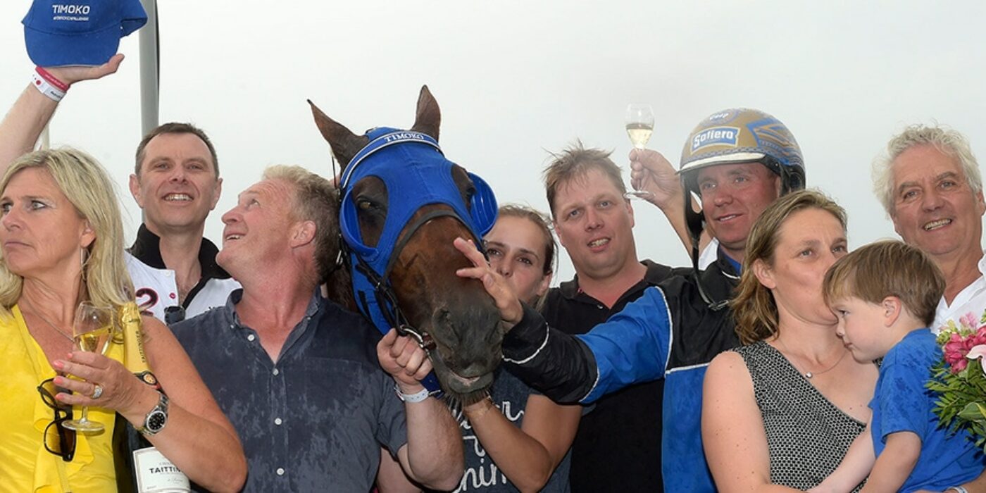 2017 TIMOKO