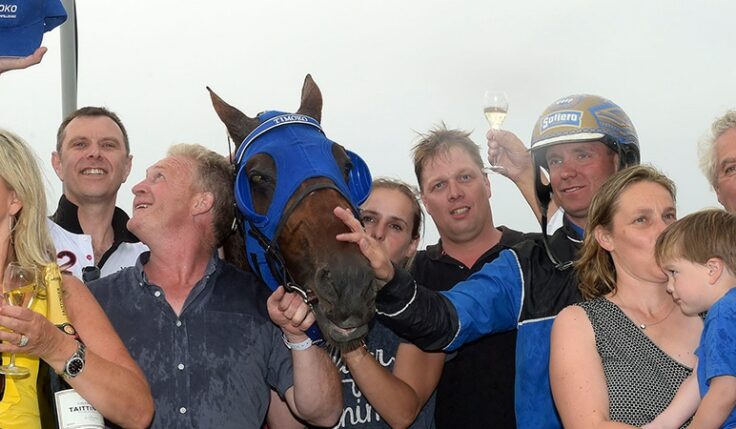 2017 TIMOKO