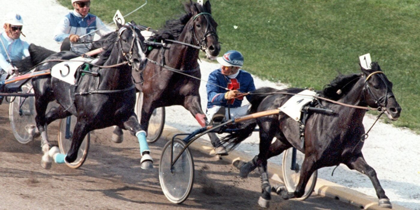 1982 IDEAL DU GAZEAU