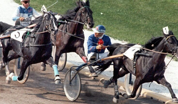 1982 IDEAL DU GAZEAU