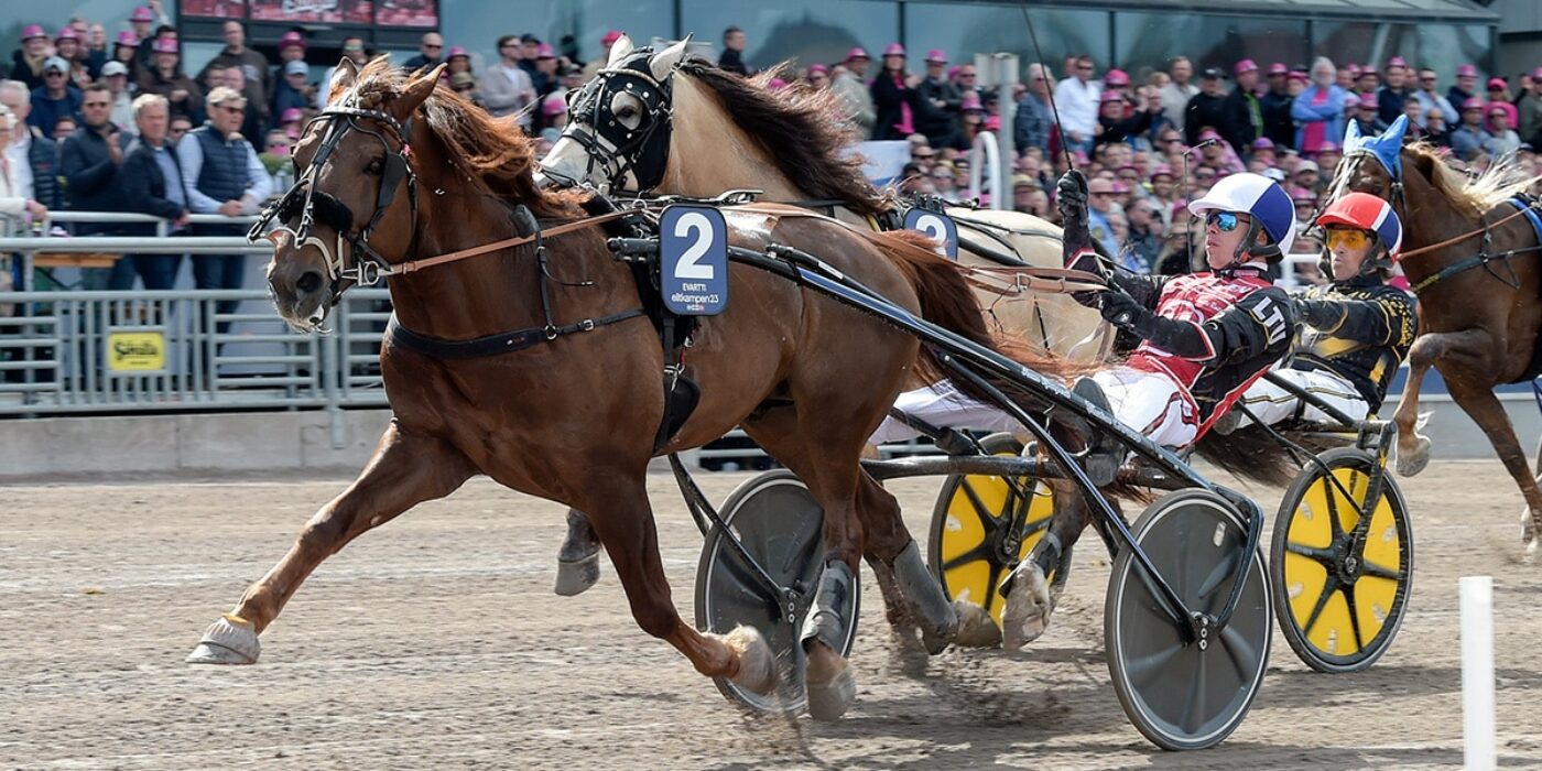 2023 EVARTTI