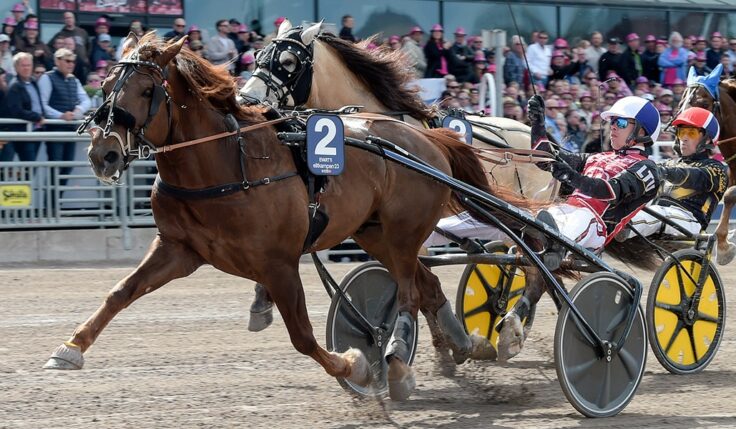 2023 EVARTTI