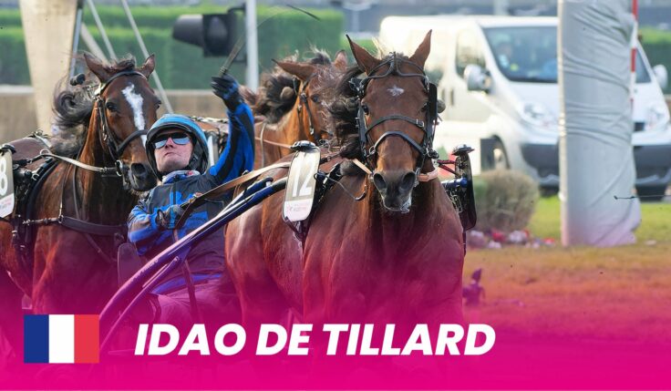 Superstar Idao de Tillard coming to Elitloppet in 2024