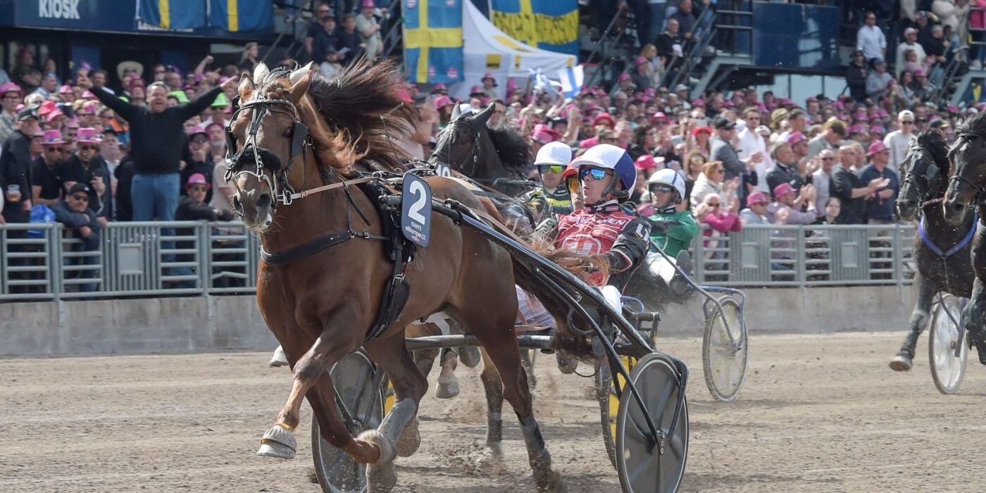 Spring birch winner to Elitkampen