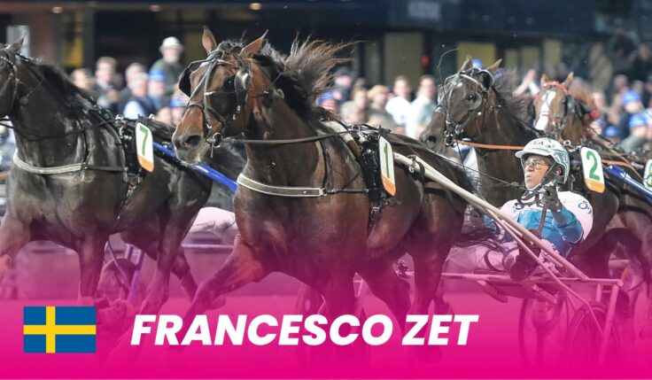 The attendant shocked! Francesco Zet to Elitloppet in 2024
