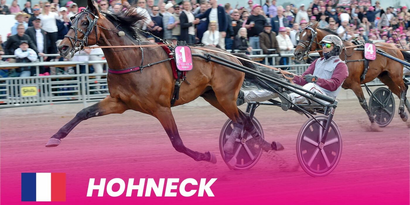 Last year's winner Hohneck ready for Elitloppet 2024