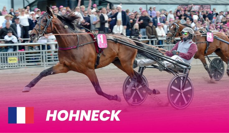 Last year's winner Hohneck ready for Elitloppet 2024