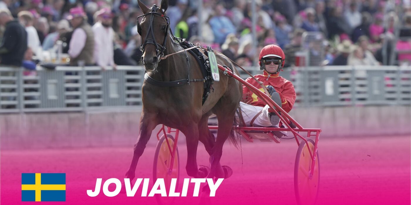 Joviality to Elitloppet 2024