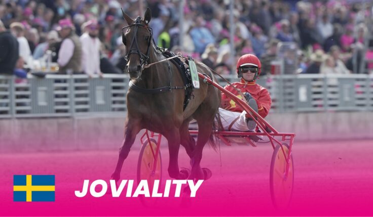 Joviality to Elitloppet 2024