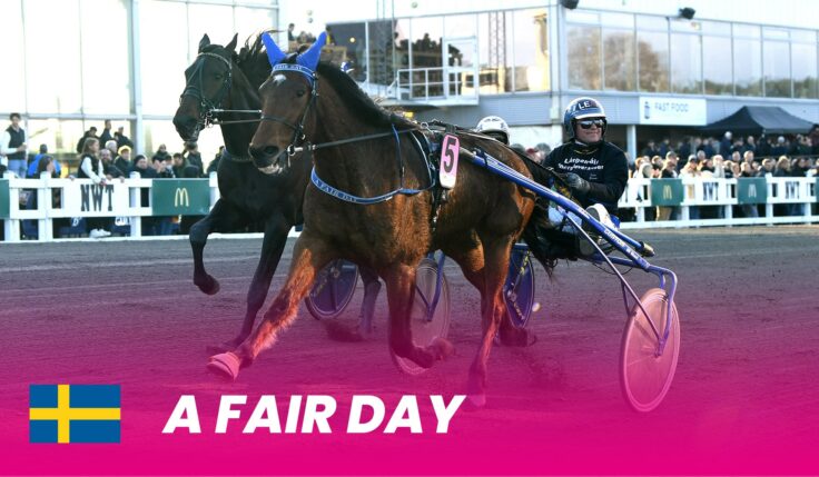 The Sago horse A Fair Day to Elitloppet 2024