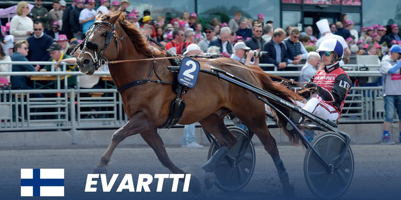 First three horses ready for Elitkampen 2024