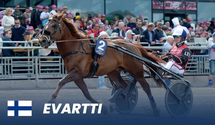 First three horses ready for Elitkampen 2024