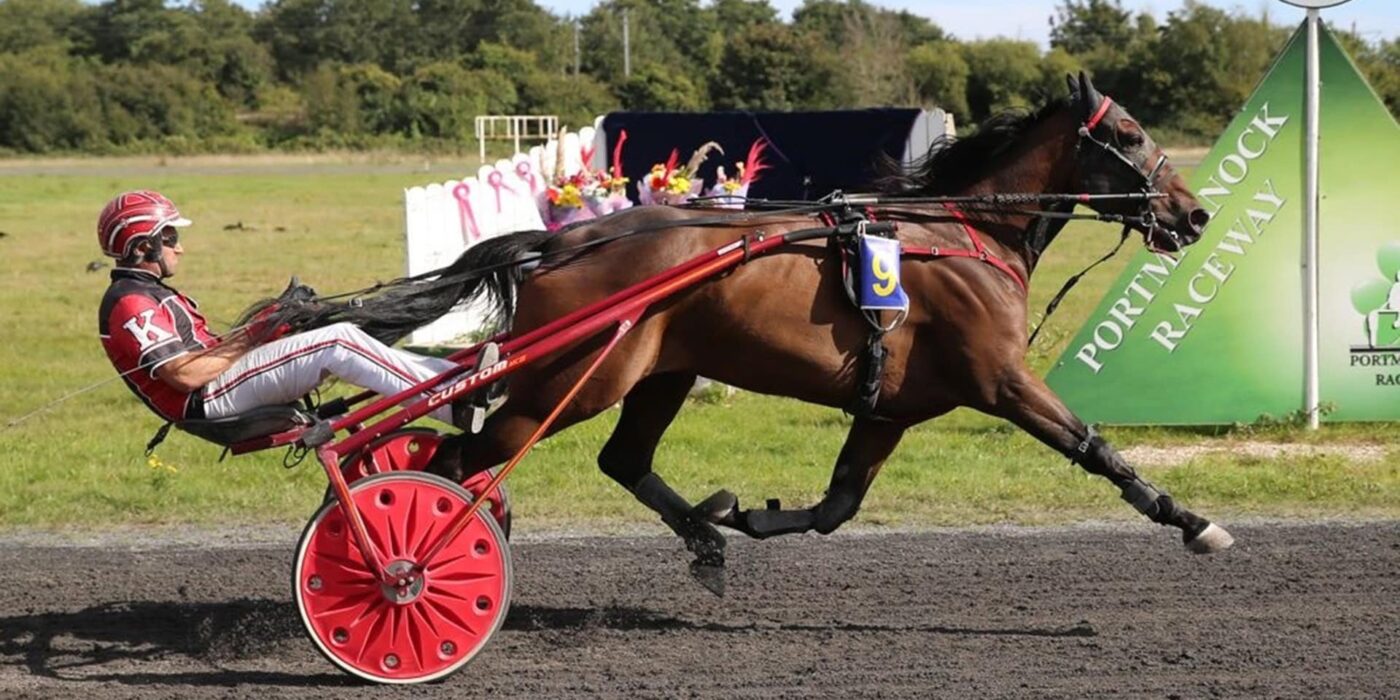 Irishman Harry Knows ready for Sweden Cup 2024