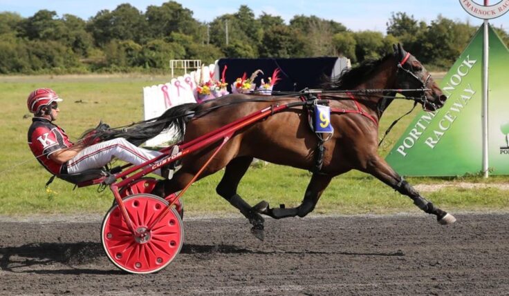 Irishman Harry Knows ready for Sweden Cup 2024