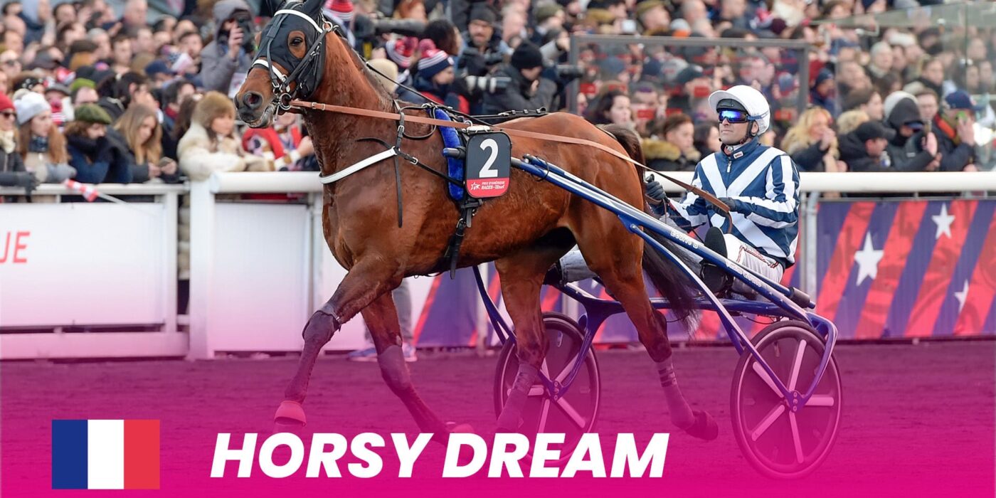 Horsy Dream to Elitloppet 2024
