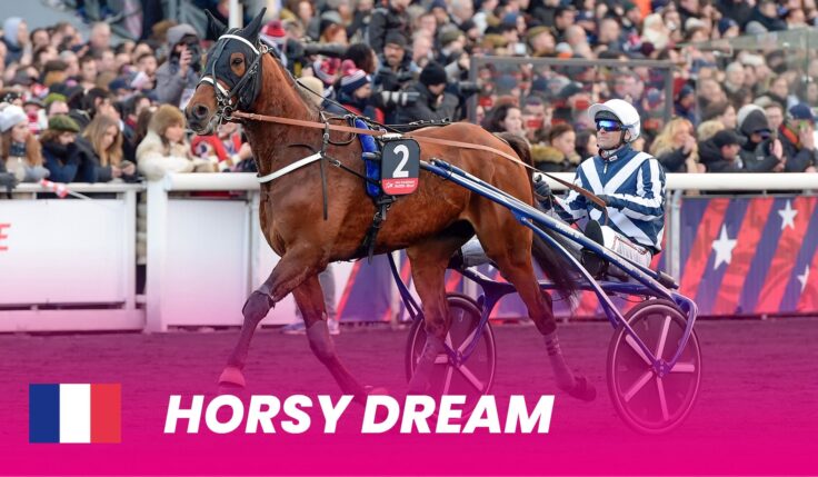Horsy Dream to Elitloppet 2024