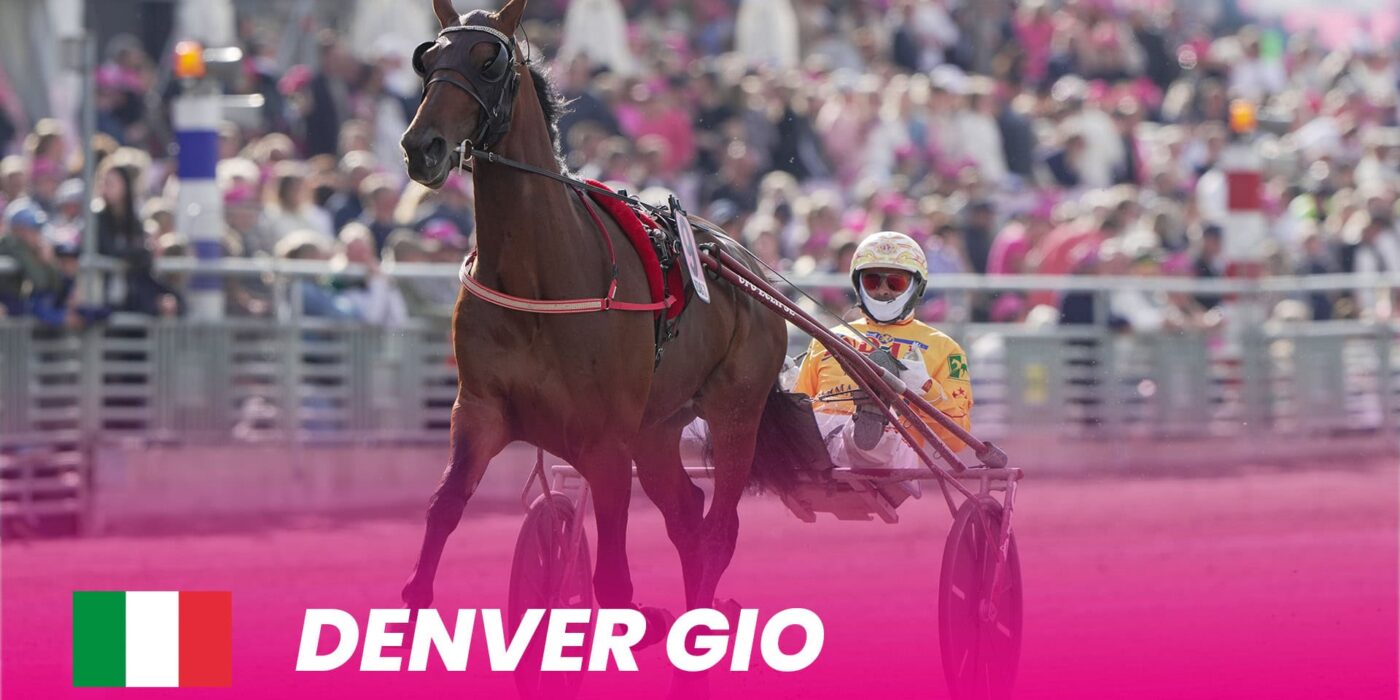 Denver Gio to Elitloppet 2024