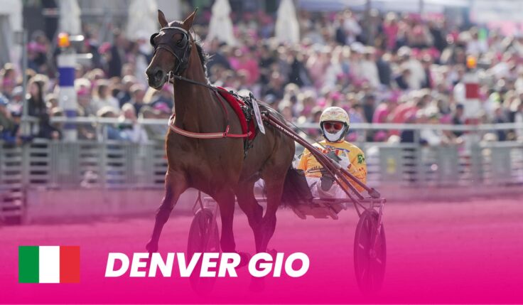 Denver Gio to Elitloppet 2024
