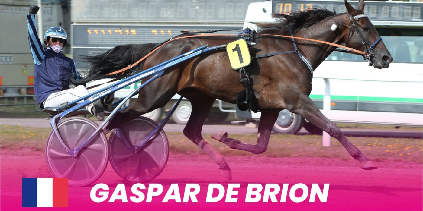 Gaspar de Brion ready for Elitloppet 2024