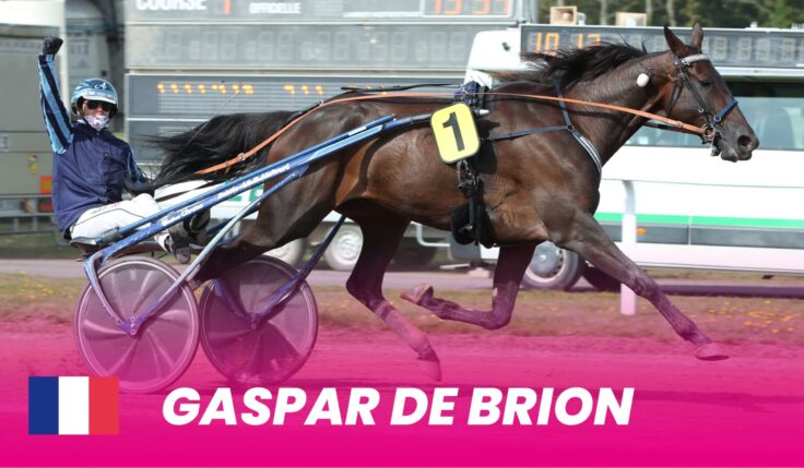 Gaspar de Brion ready for Elitloppet 2024