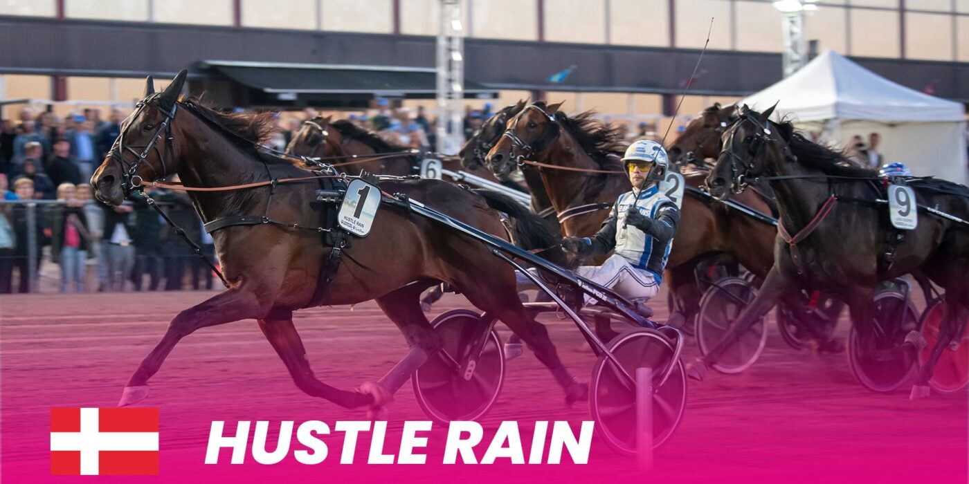 Hustle Rain to Elitloppet 2024