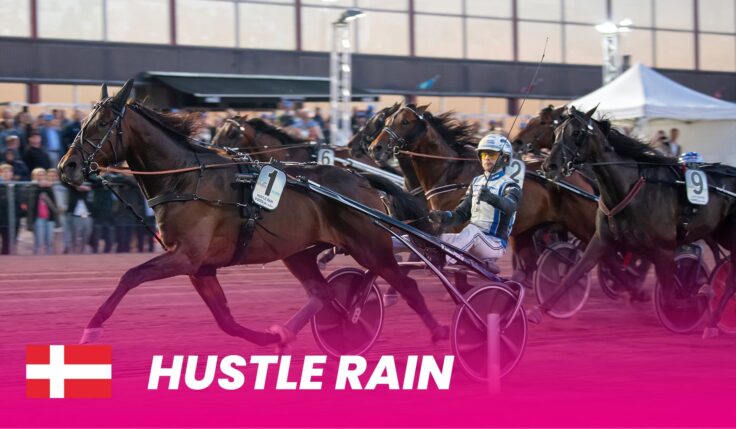 Hustle Rain to Elitloppet 2024