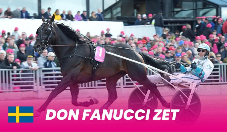 Don Fanucci Zet qualified and ready for Elitloppet 2024