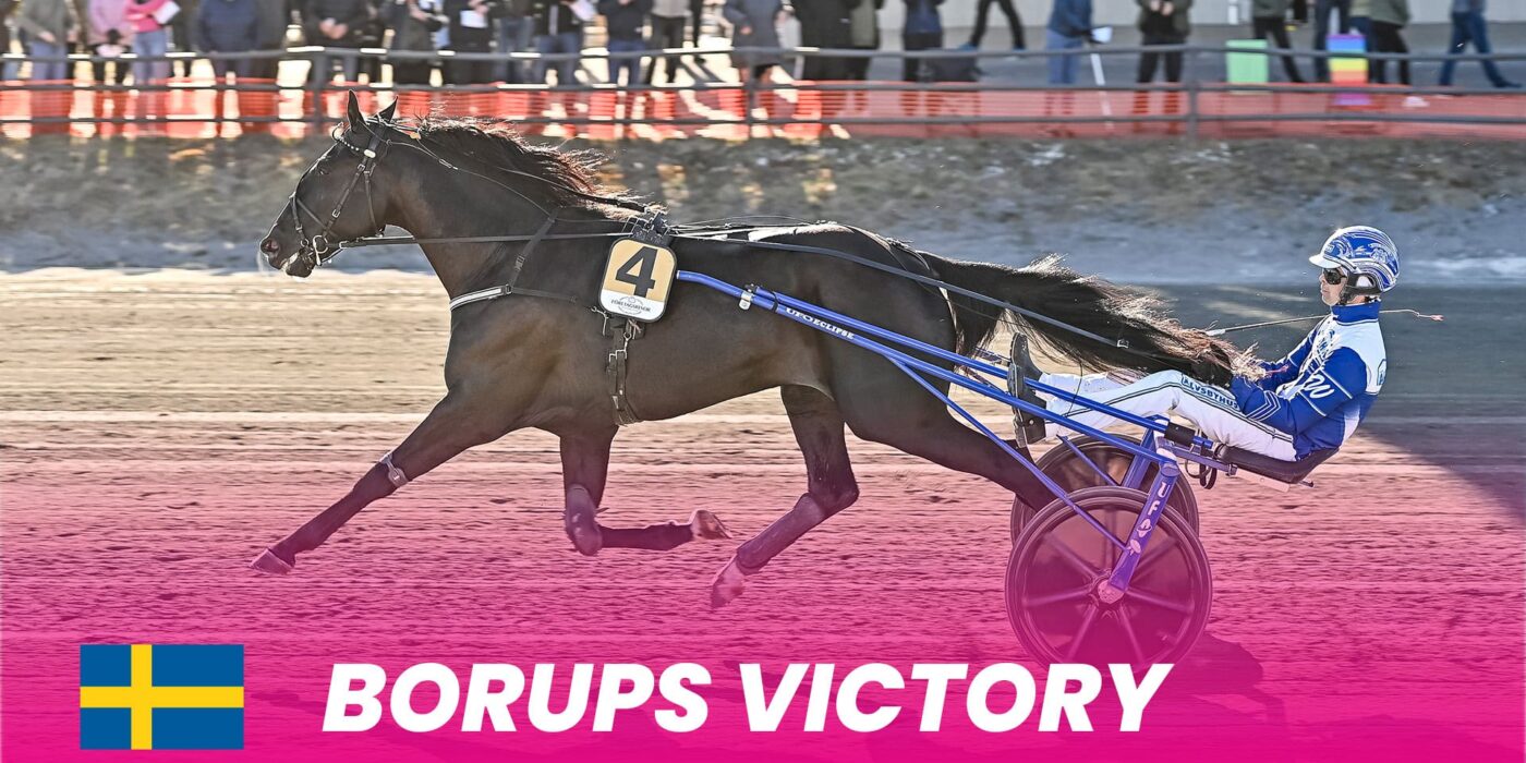 Borups Victory to Elitloppet 2024 after victory in Guldbjörken