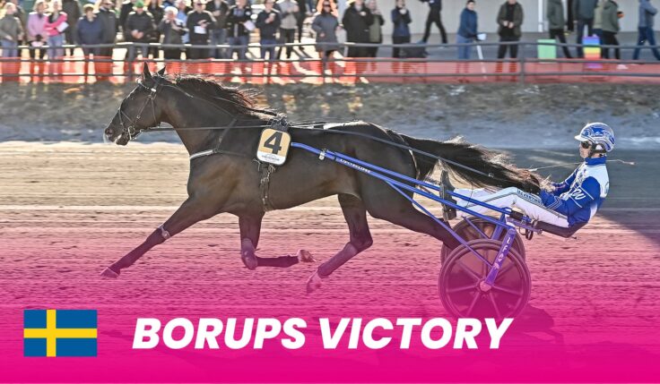 Borups Victory to Elitloppet 2024 after victory in Guldbjörken