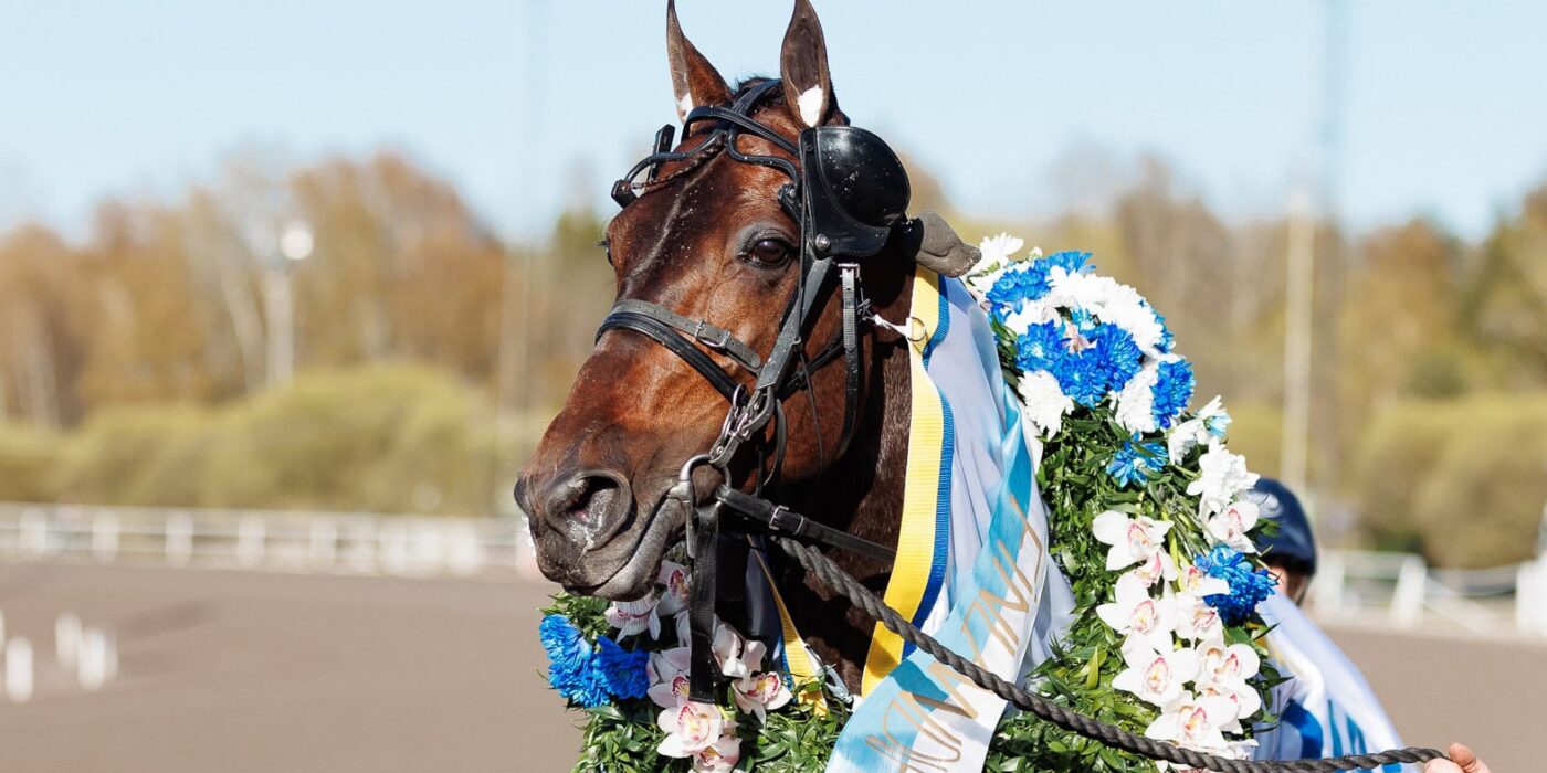 Chair show refrains Elitloppet