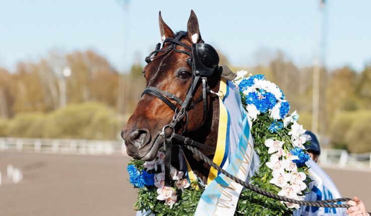 Chair show refrains Elitloppet