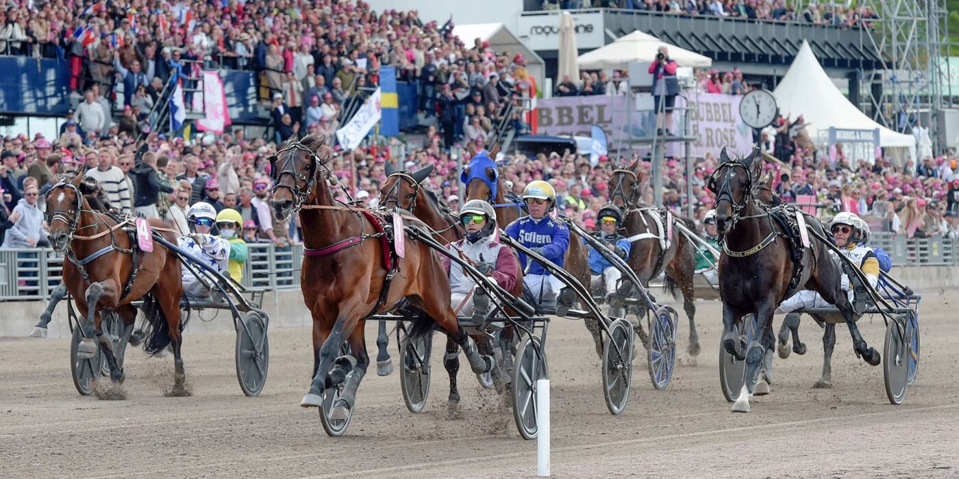 Here is the starting field in Elitloppet 2024