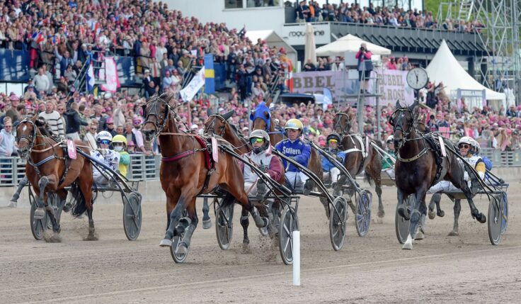 Here is the starting field in Elitloppet 2024