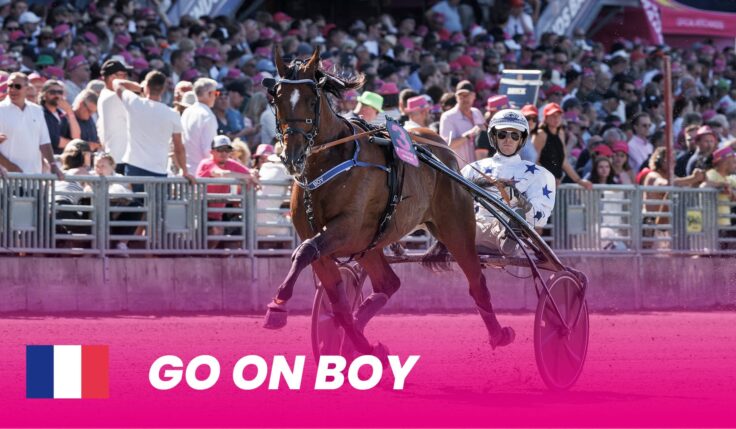 Go On Boy first invited to Elitloppet 2025