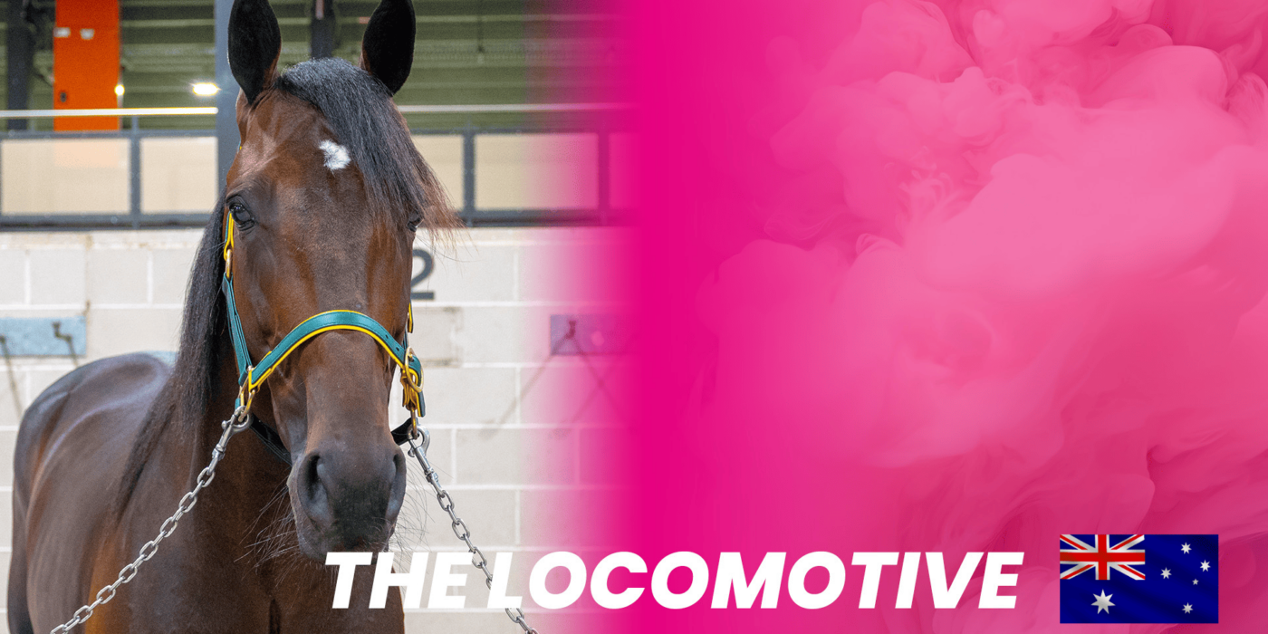 The Locomotive competes for Australia in Elitloppet 2025