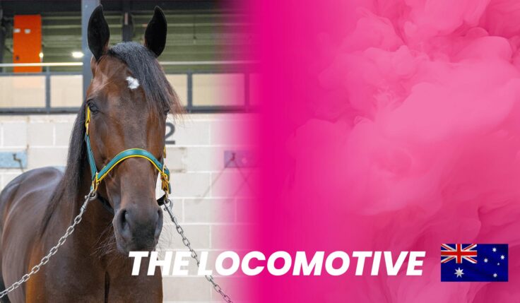 The Locomotive competes for Australia in Elitloppet 2025