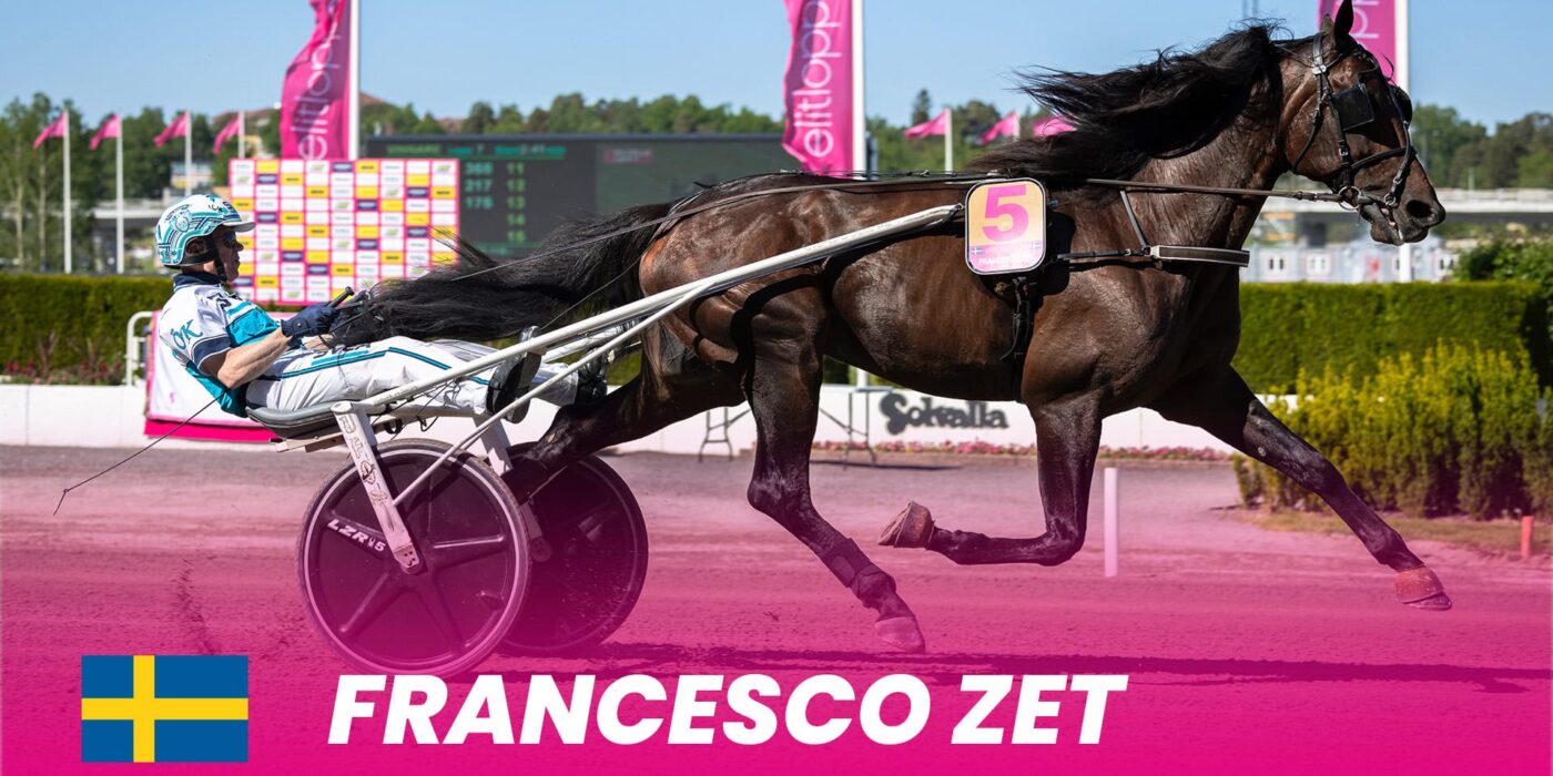 Francesco Zet ready for Elitloppet 2025