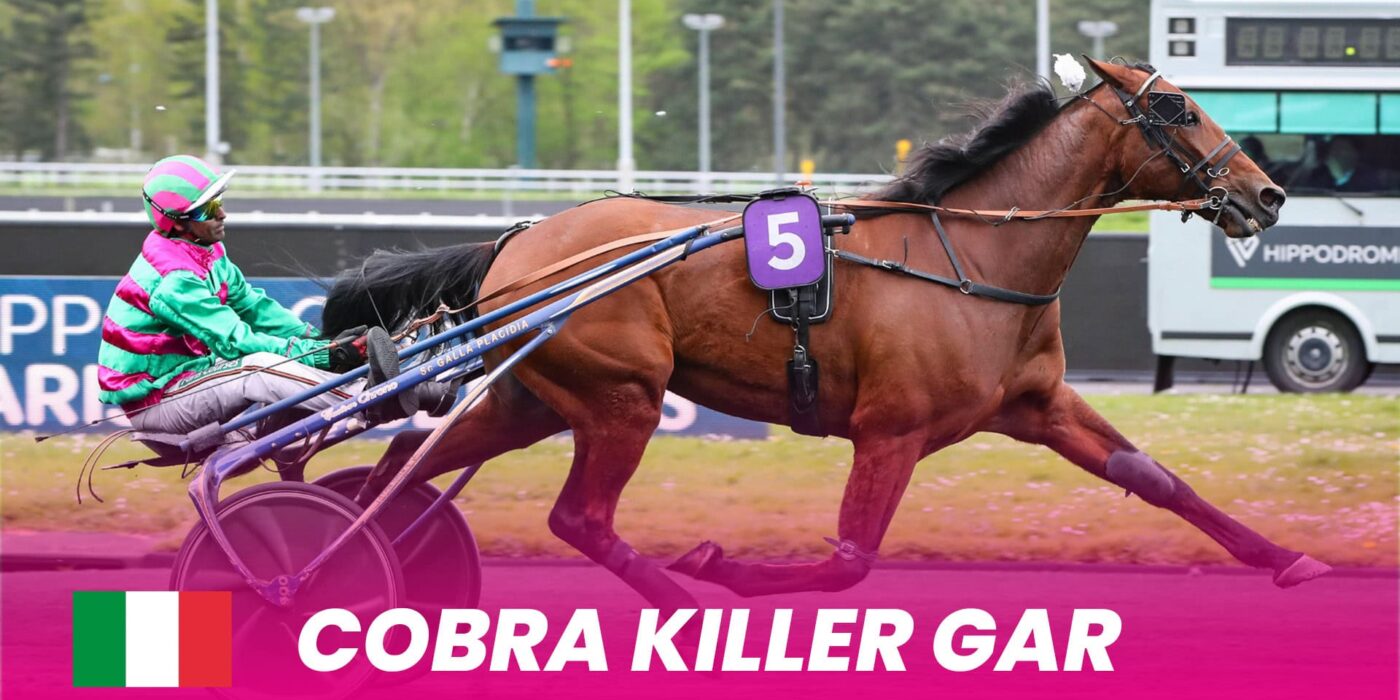 Cobra Killer Gar debuts in Elitloppet 2025