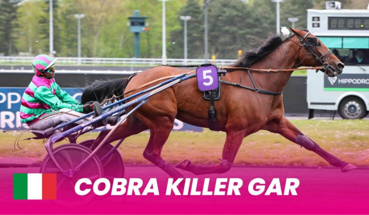 Cobra Killer Gar debuts in Elitloppet 2025