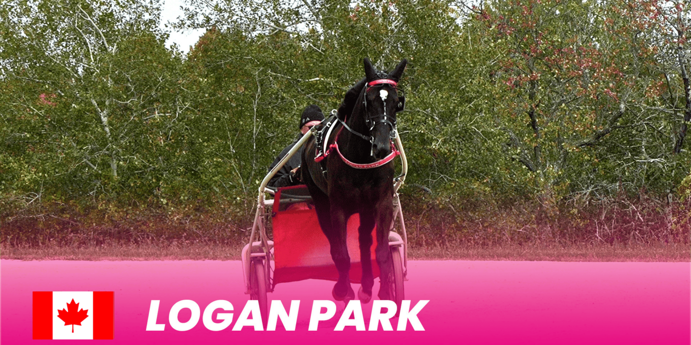Logan Park to Elitloppet 2025