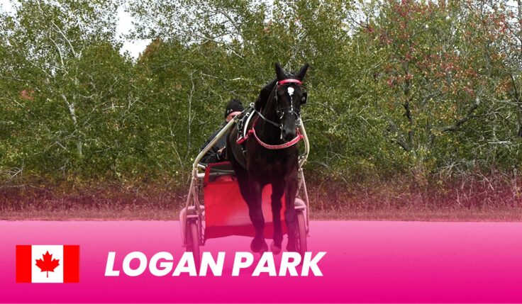 Logan Park to Elitloppet 2025