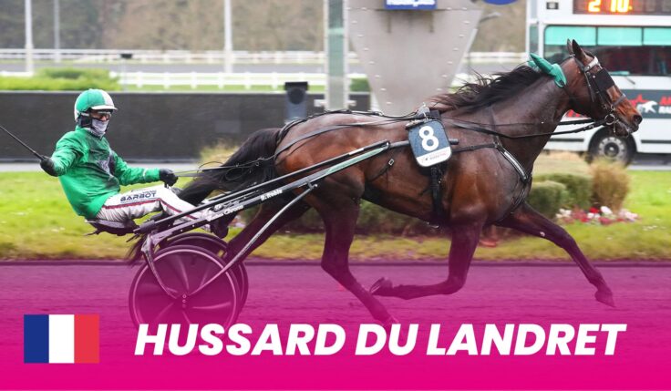 Hussard du Landret ready for Elitloppet 2025