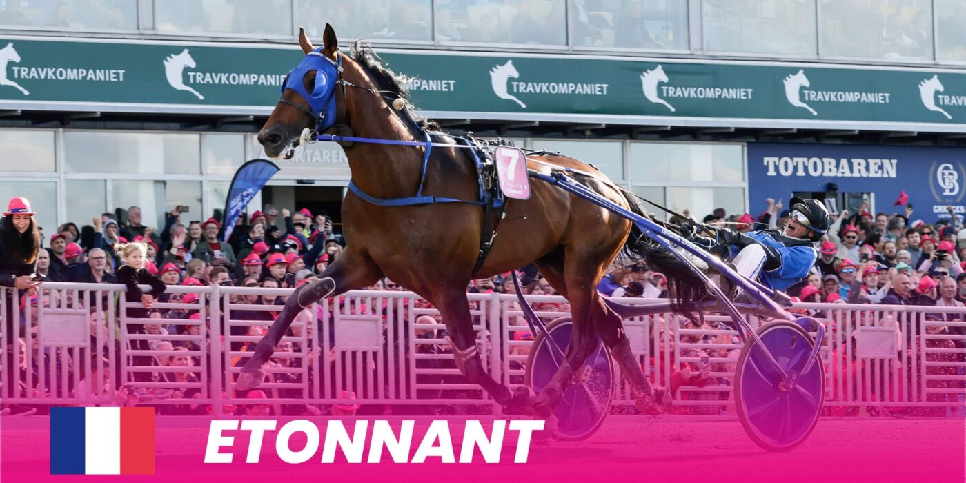 Etonnant ready for Elitloppet 2025